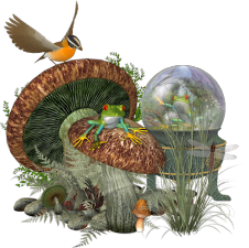 őszi állatok_153.png